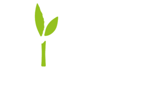 Divine Bamboo - Divine Bamboo